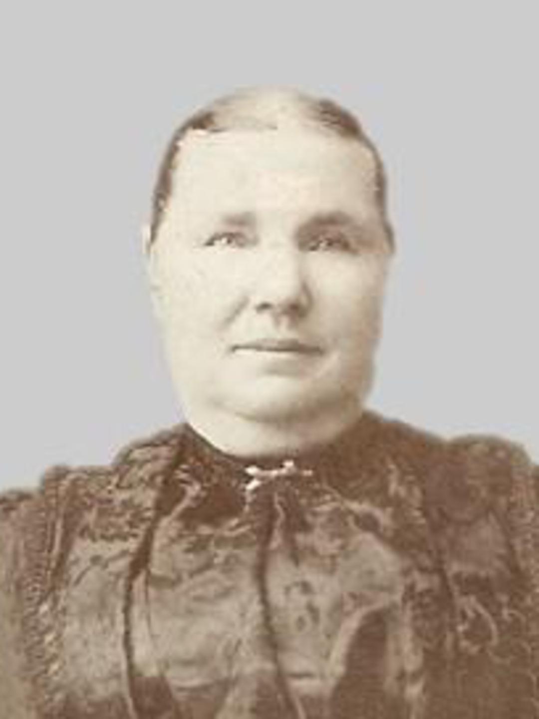 Isabel Wilkins McCleve (1843 - 1918) Profile